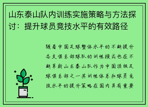 山东泰山队内训练实施策略与方法探讨：提升球员竞技水平的有效路径