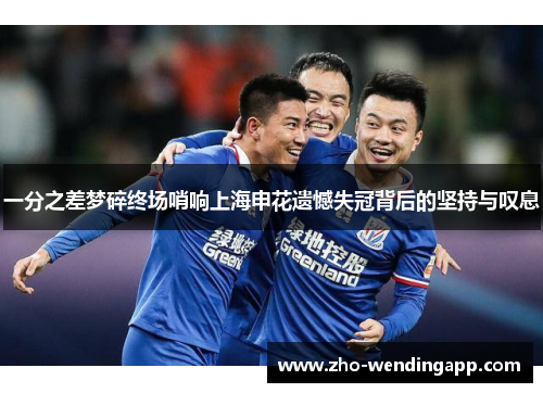 一分之差梦碎终场哨响上海申花遗憾失冠背后的坚持与叹息