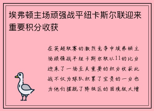 埃弗顿主场顽强战平纽卡斯尔联迎来重要积分收获